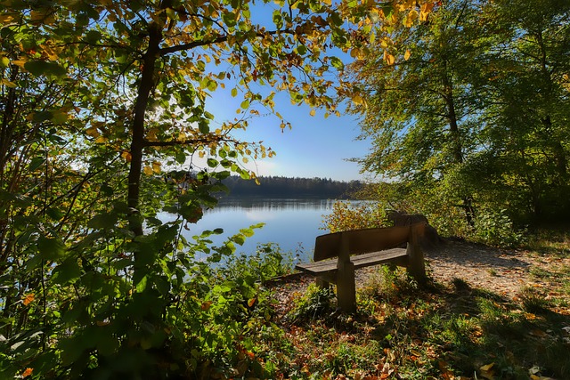 拿下比赛胜 拿下比赛胜