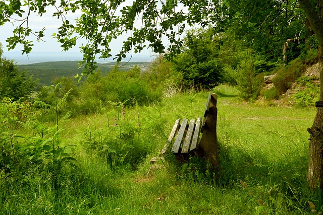 射正次数 射正次数