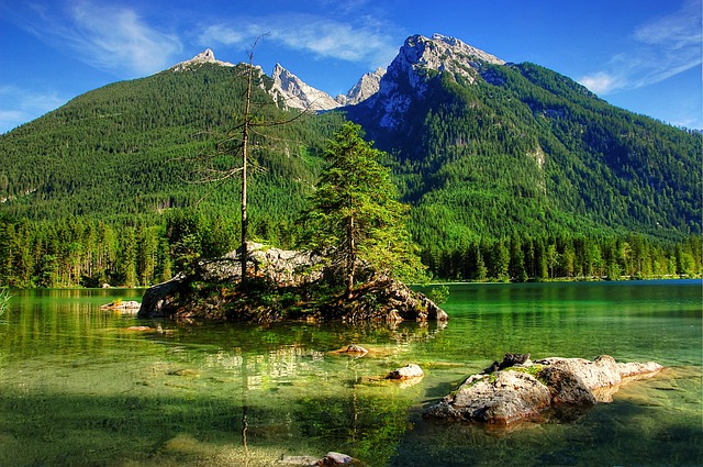 鄱阳湖湿地
