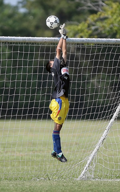 适应期往往 适应期往往