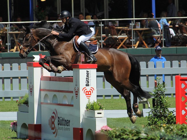 个人IP年 个人IP年