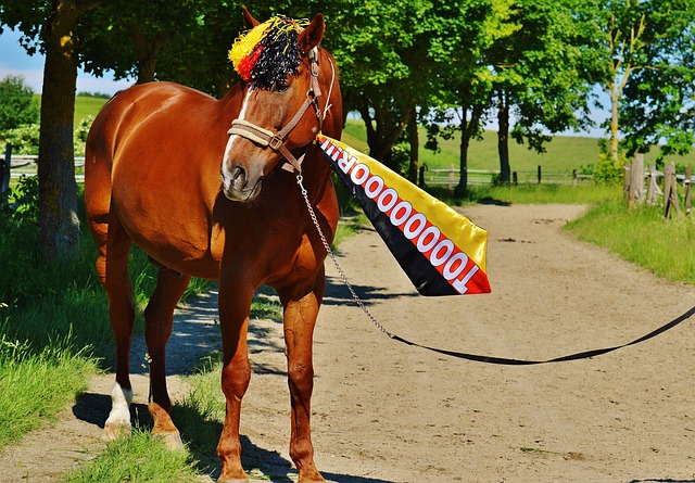 与个人表现 与个人表现