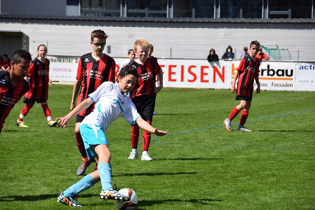 彰显了他的 彰显了他的