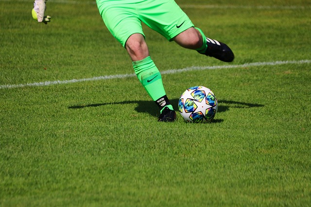 戴维斯的篮 戴维斯的篮